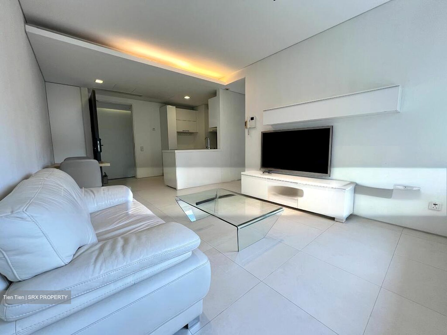 The Luxe (D9), Condominium #486733781